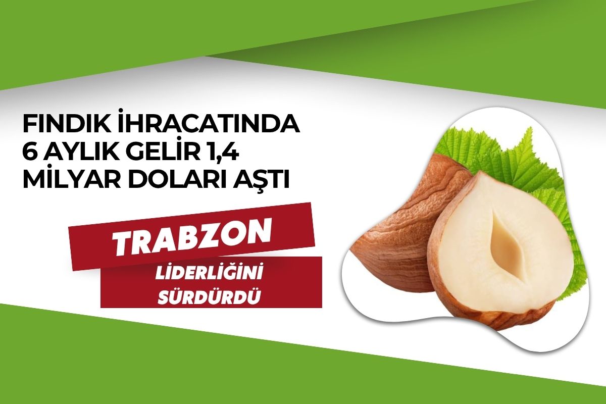 FINDIK İHRACATINDA 6 AYLIK GELİR 1,4 MİLYAR DOLARI AŞTI: TRABZON LİDERLİĞİNİ SÜRDÜRDÜ